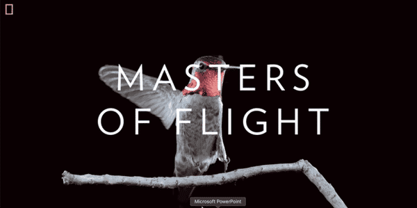 1548039659597058222.png 圖片26.png